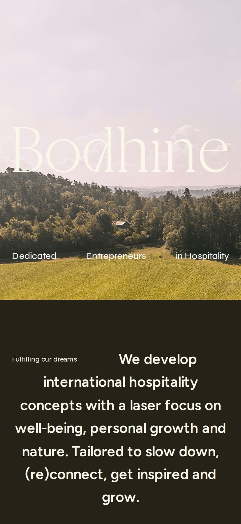 Mobiele weergave van bodhine.com